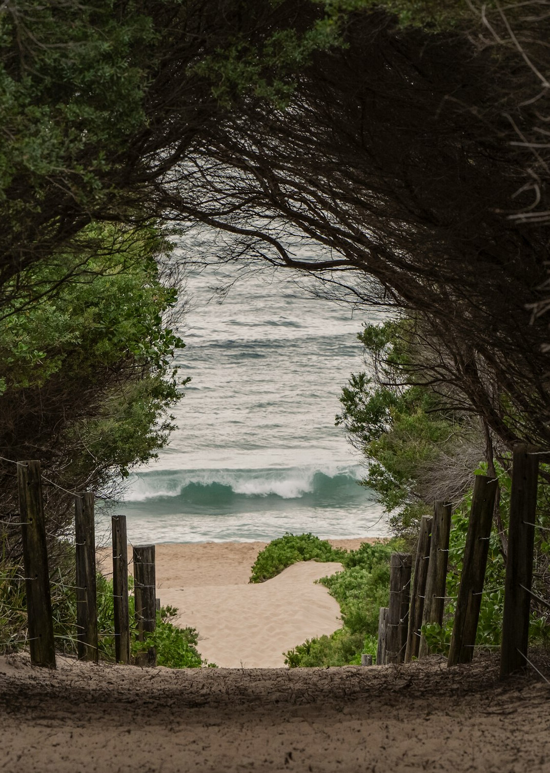 outdoor scenery for inspiration
